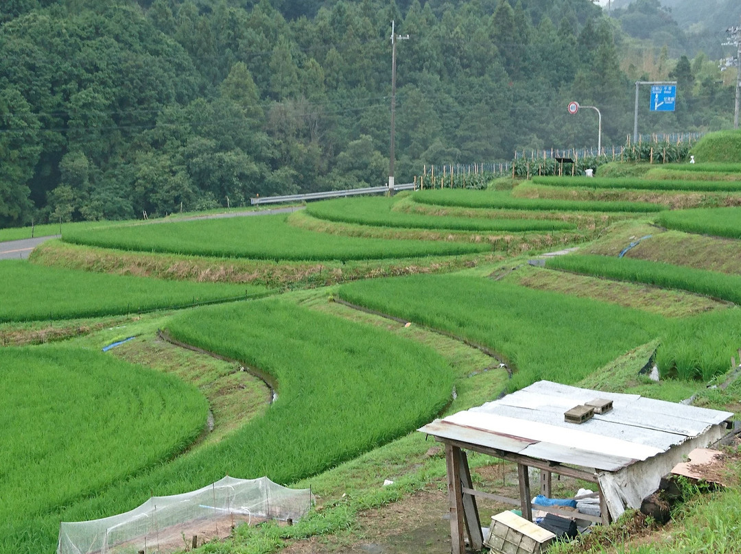 Shimoakasaka Tanada-千早赤阪村必去景点