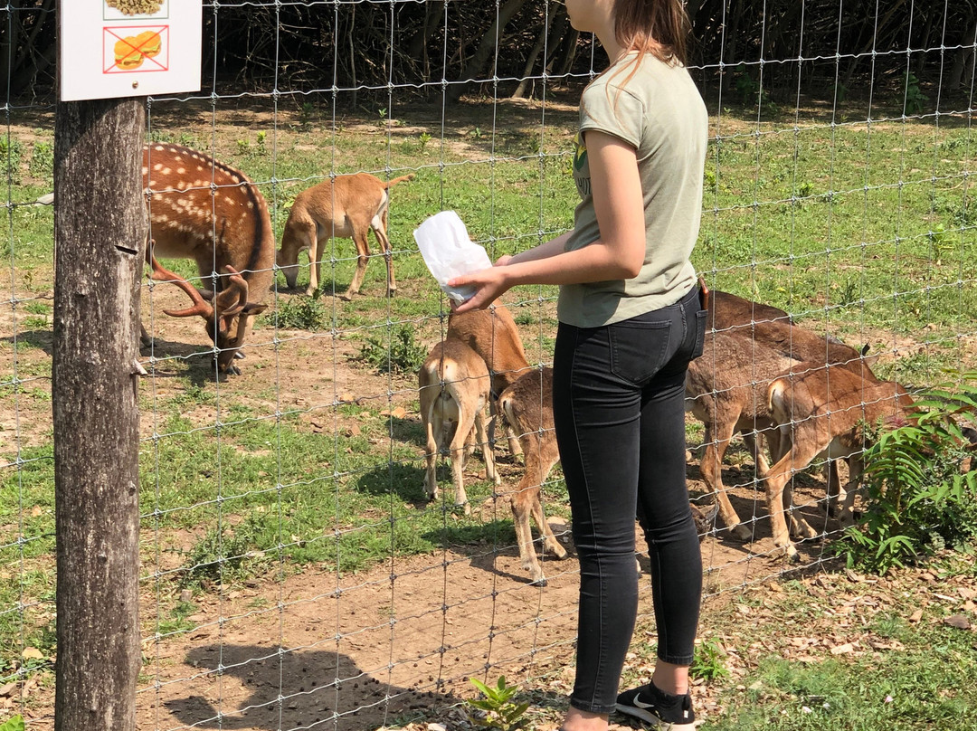 Pakozdi-Sukoro Arboretum and Wildlife Park景点图片