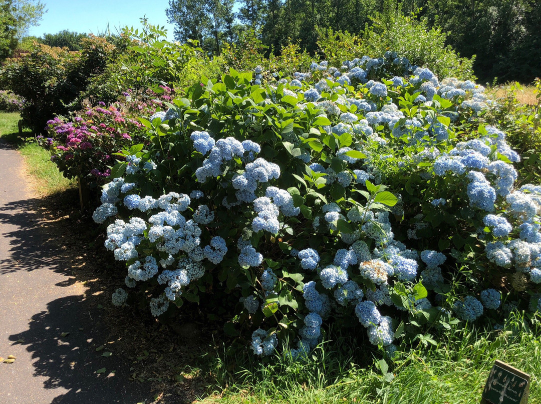 Circuit des Hortensias-Ploermel必去景点