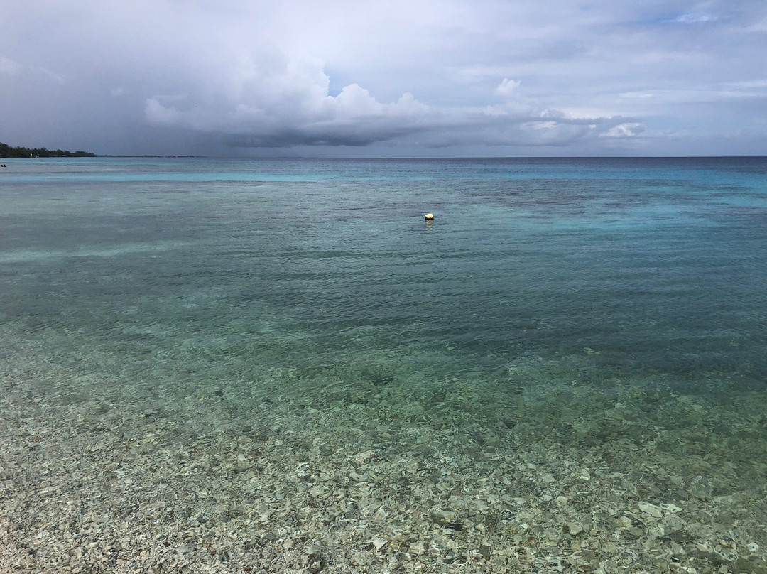 Rangiroa Diving Center景点图片