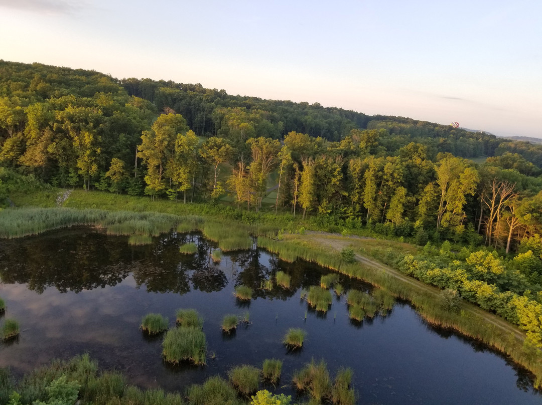 Fantasy Balloon Flights-Middletown必去景点