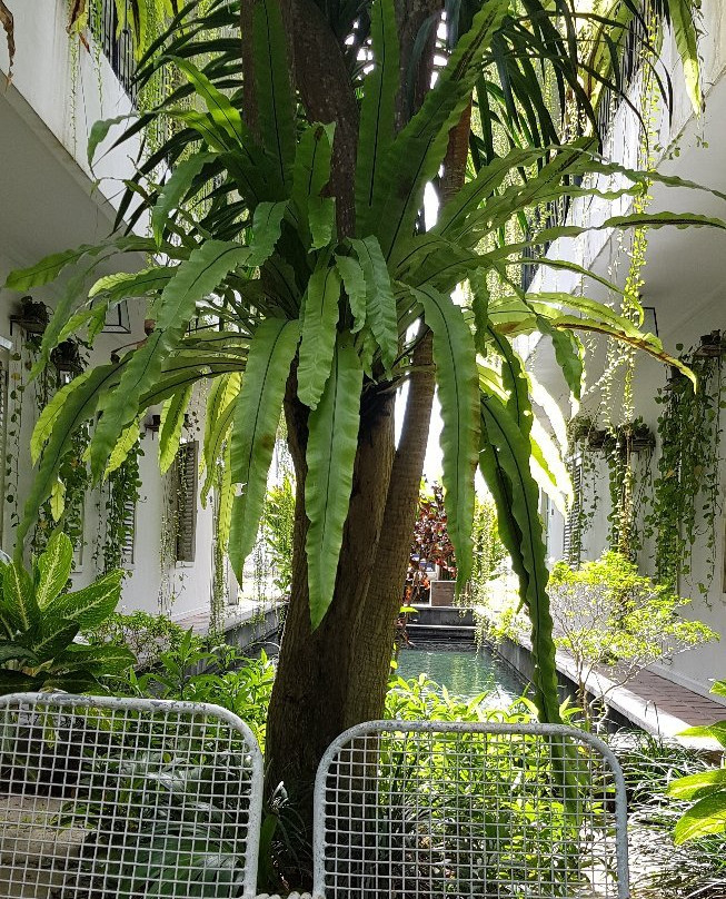 布朗费德酒店主图