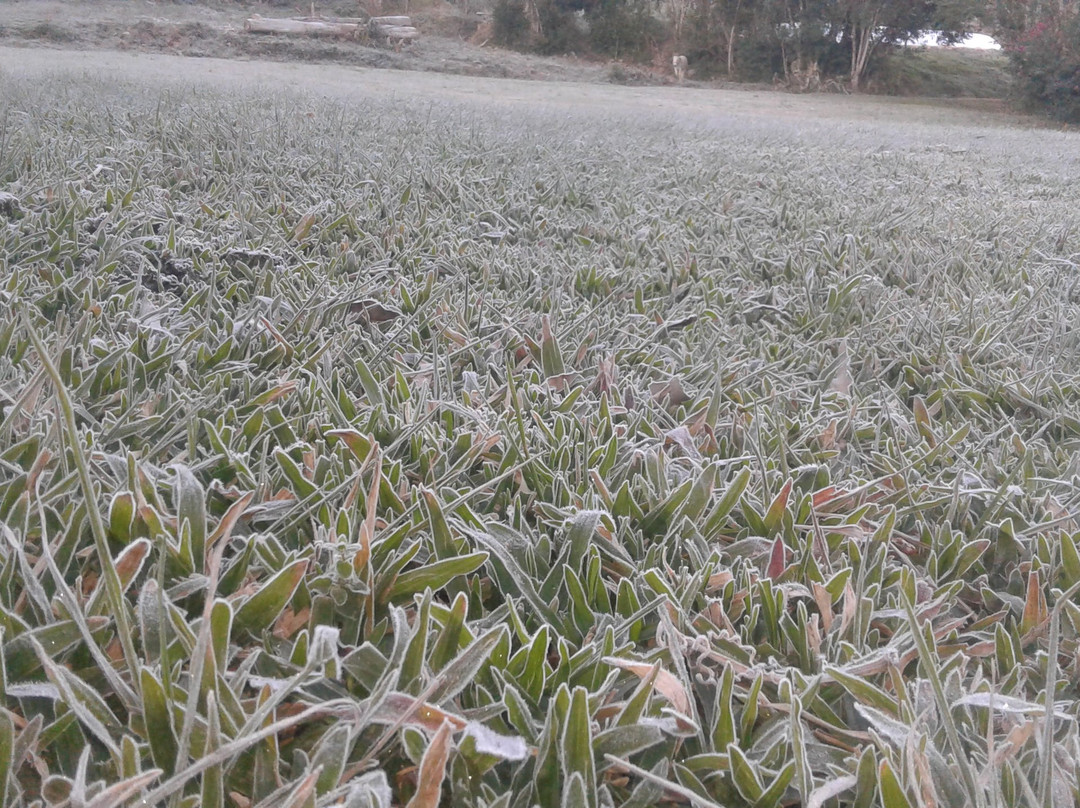 Sitio Campiol-Progresso必去景点