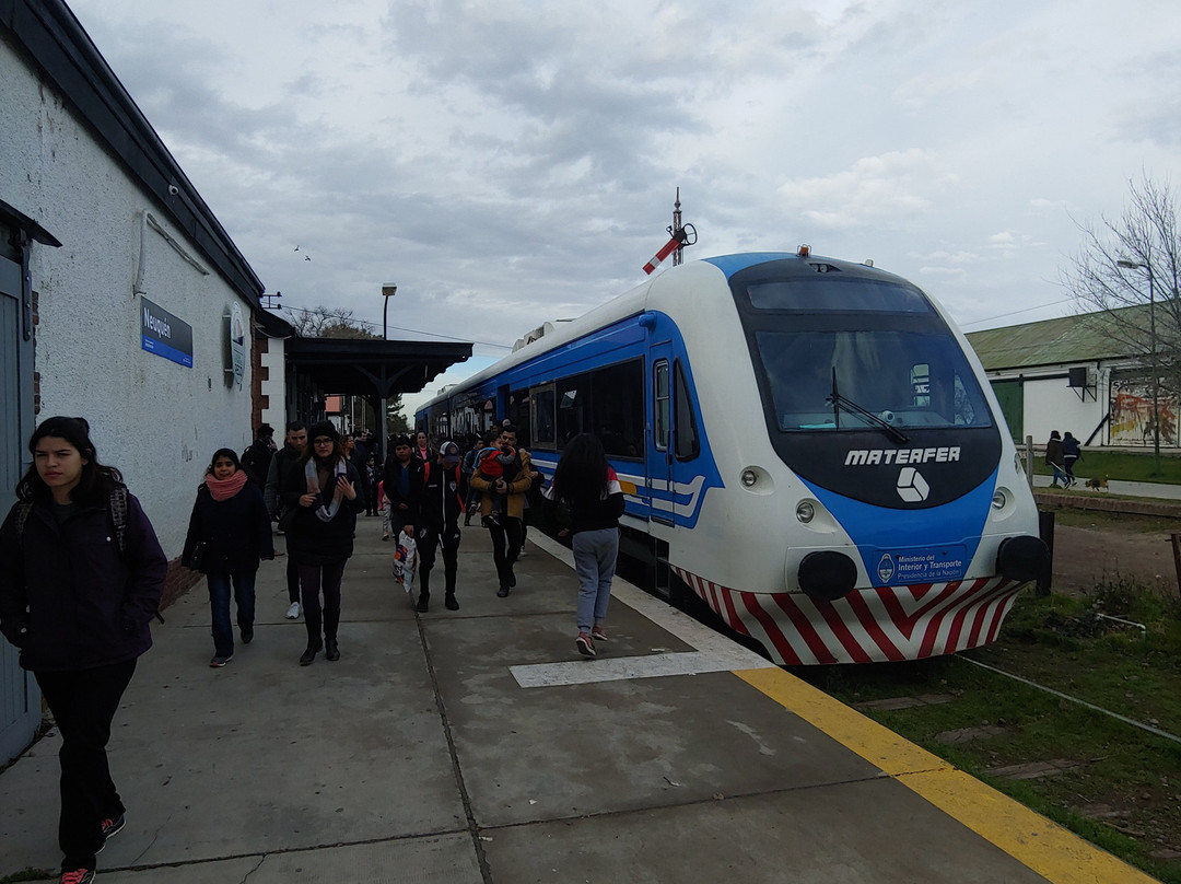 Tren del valle-内乌肯必去景点