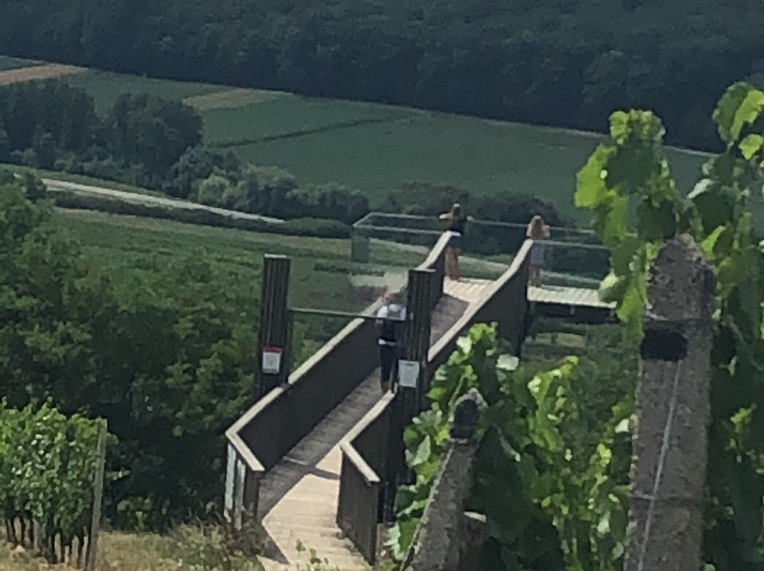Der Weinblick景点图片