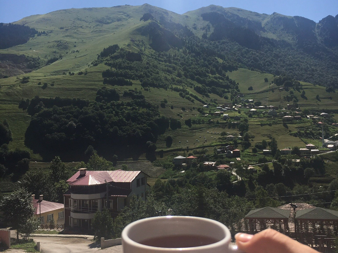 Hamsikoy Hotel主图