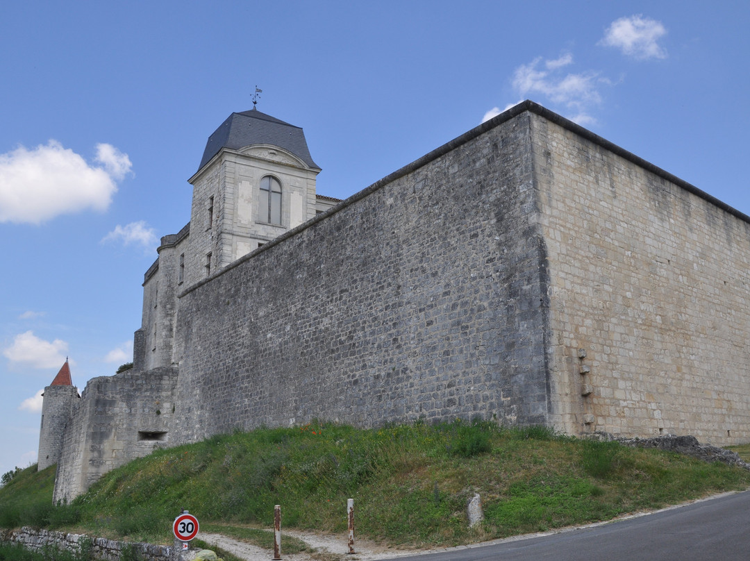 Chateau de Villebois-Lavalette景点图片