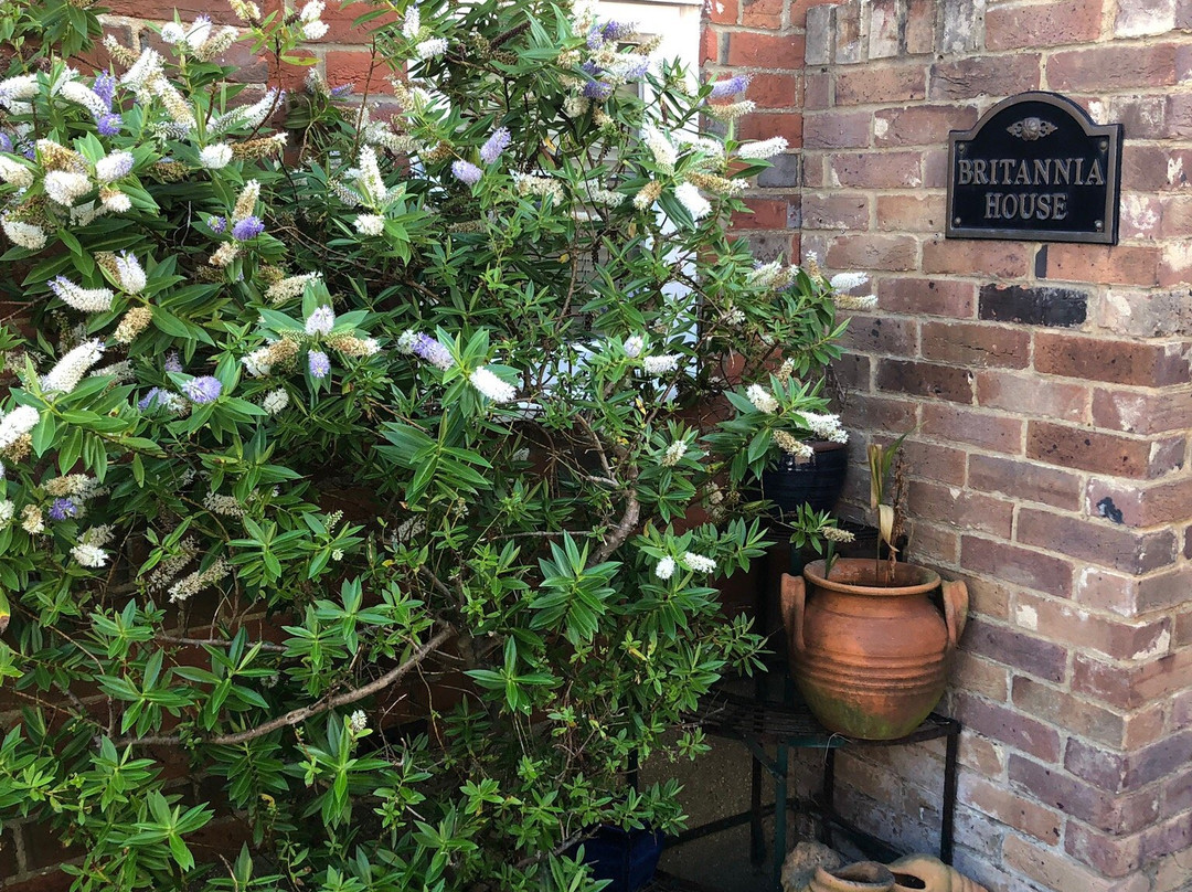 Britannia House主图