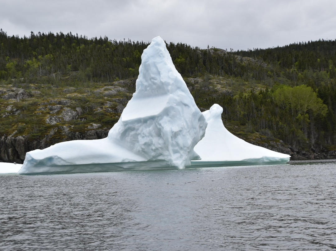 King's Point Boat Tours and Adventures-King's Point必去景点