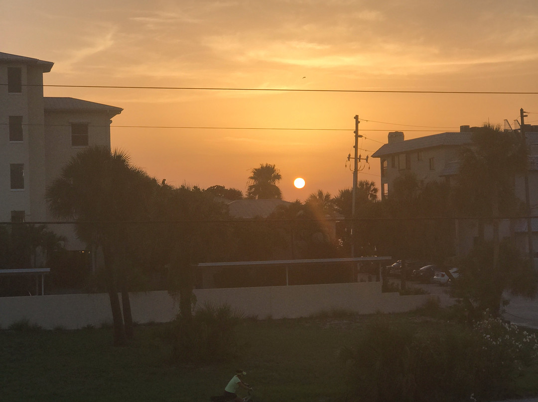 Laughing Lizard主图