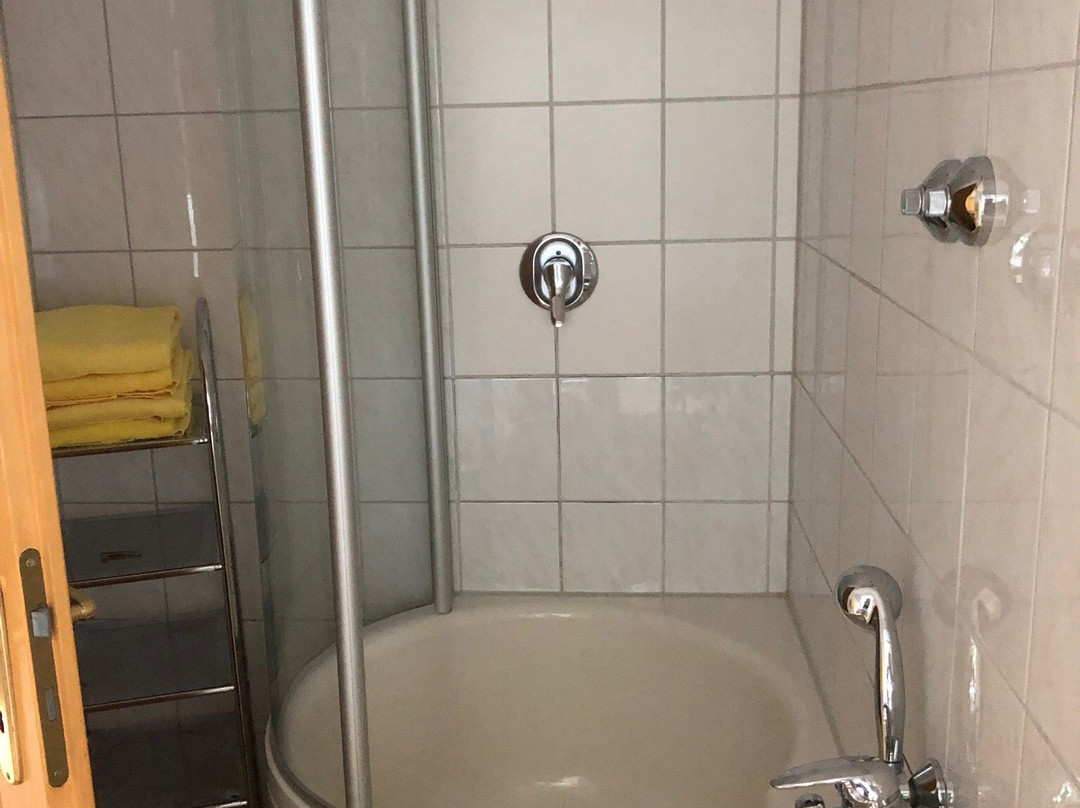 Gasthof zur Insel主图