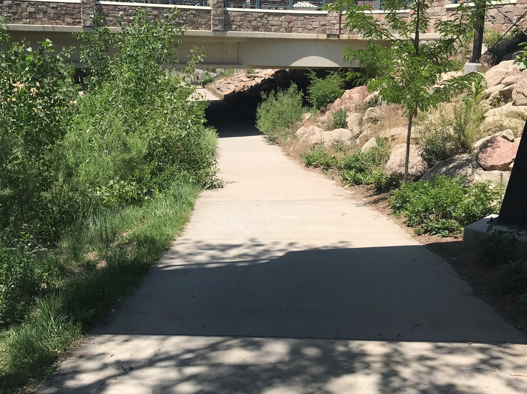 Festival Park-罗克堡必去景点