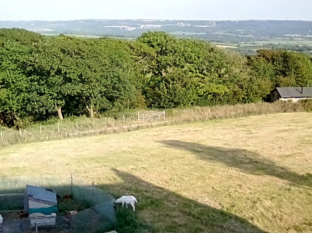 Kidwelly Farm Cottages主图