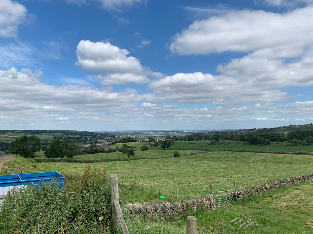 Our Cow Molly Dairy Farm & Ice Cream Shop-谢菲尔德必去景点