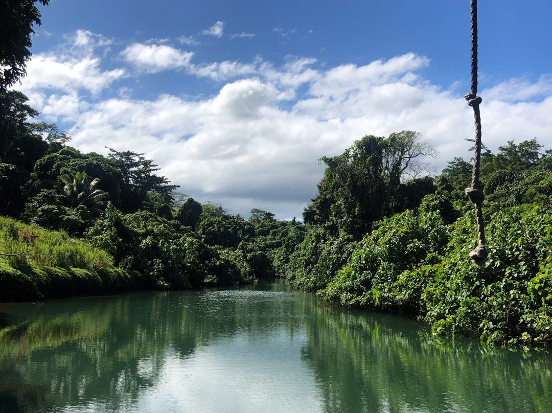 Vanuatu Ecotours景点图片