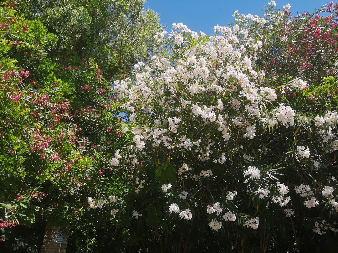 Folies Corfu Hotel Apartments主图