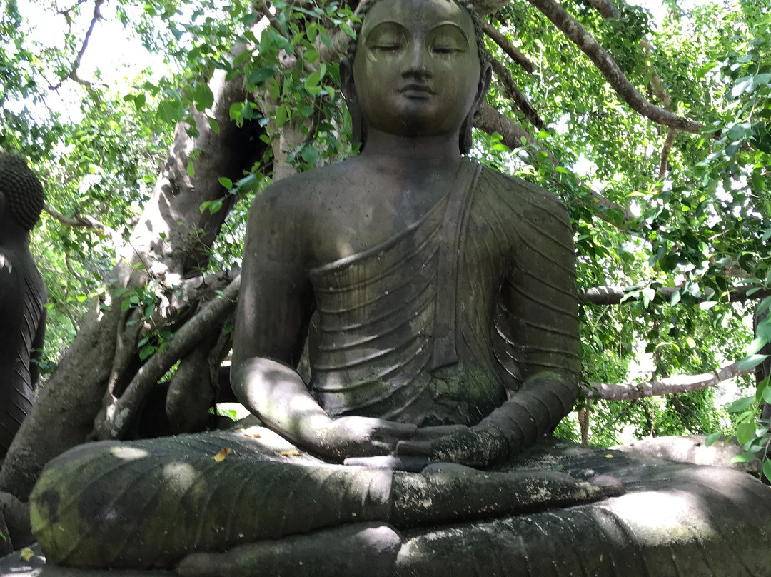 森林岩石花园度假村主图