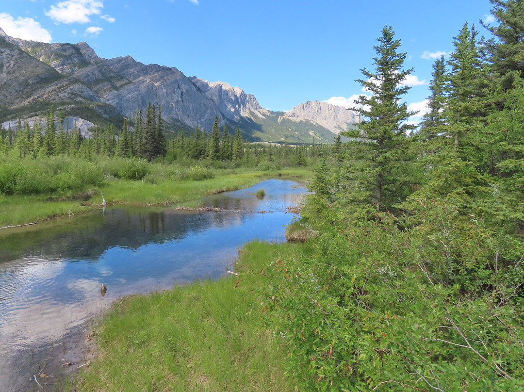 Bow Valley Provincial Park-卡那那斯基斯必去景点