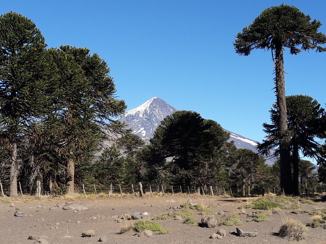 Mamuil Malal Pass-Curarrehue必去景点