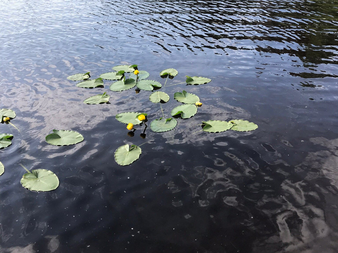 Gigglewood Lakeside Inn主图