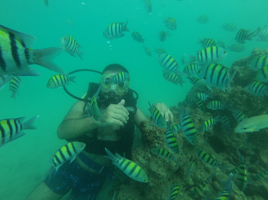 Kish diving center-基什岛必去景点