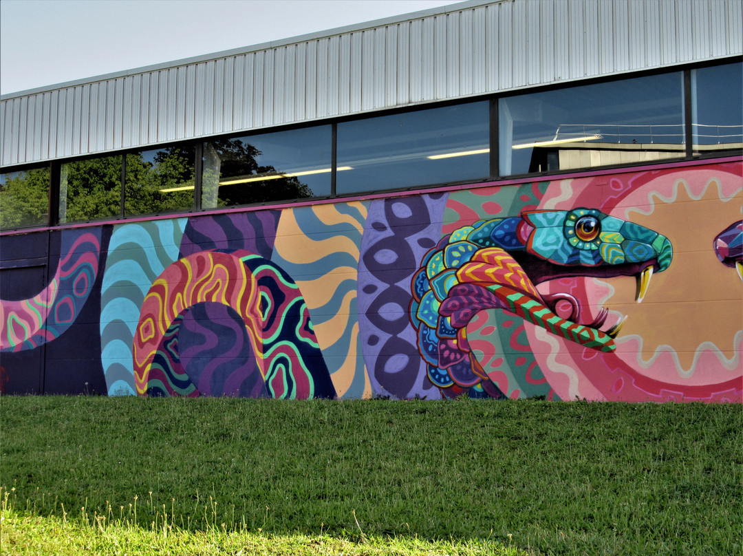 Fresque "Serpents"-赛尔齐—蓬多瓦兹必去景点