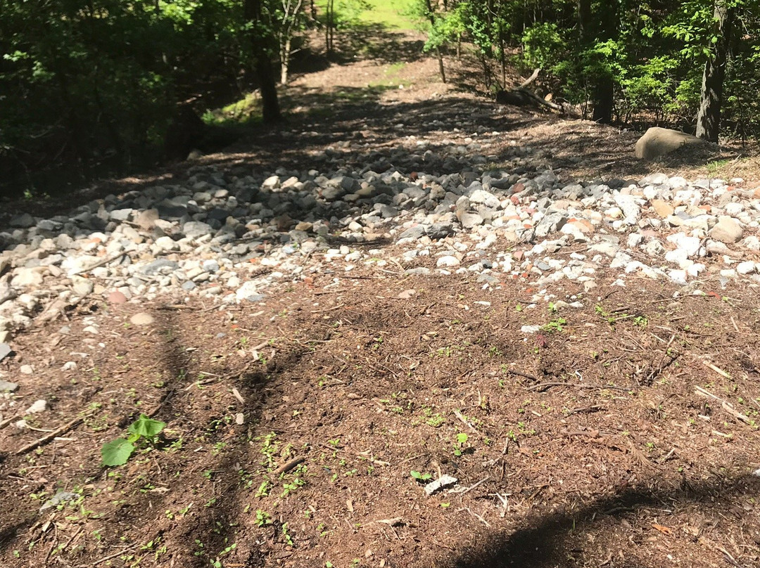 The Catskill Motel主图