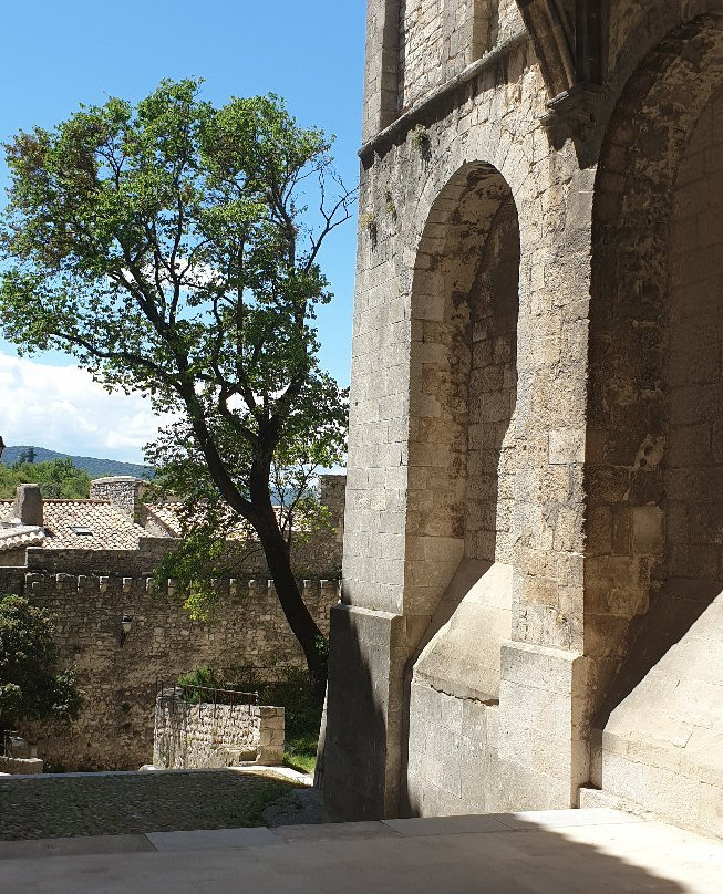 Viviers Cathedral景点图片