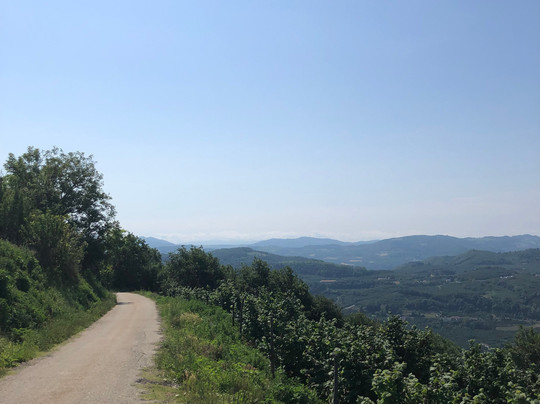 Milano Bike Renting-米兰必去景点