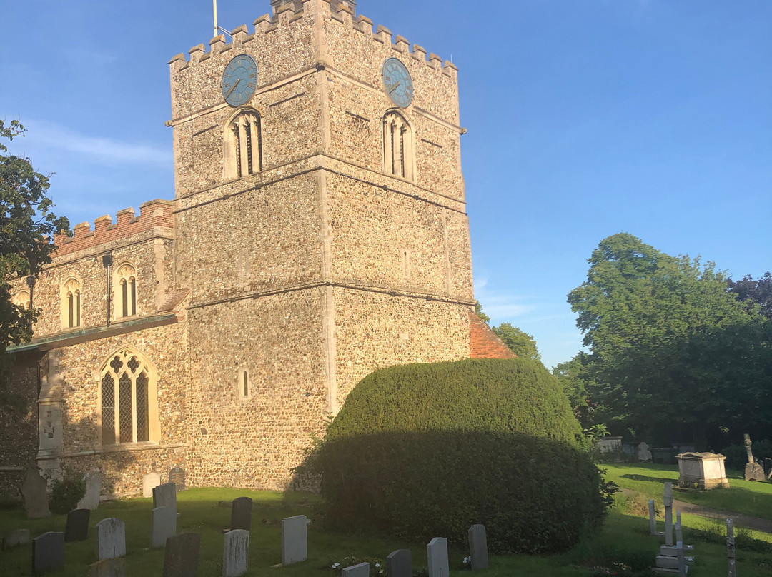 The Finchingfield Lion