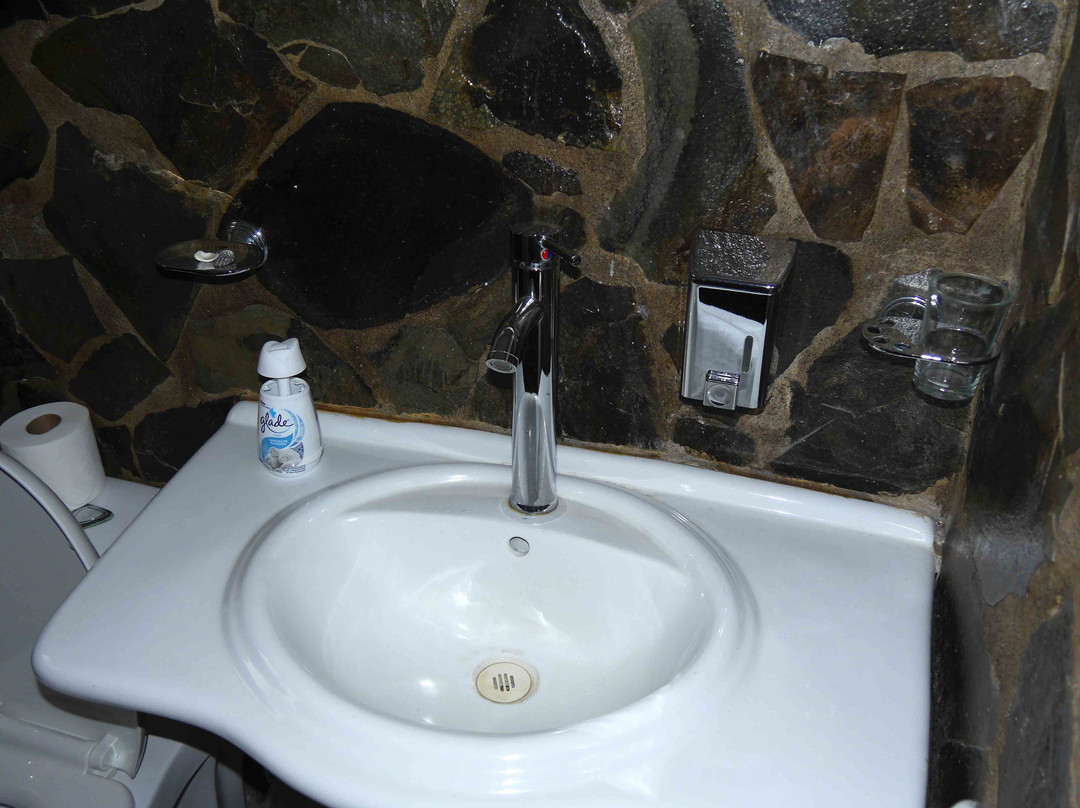 Dos Palmas Country Inn La Garita主图