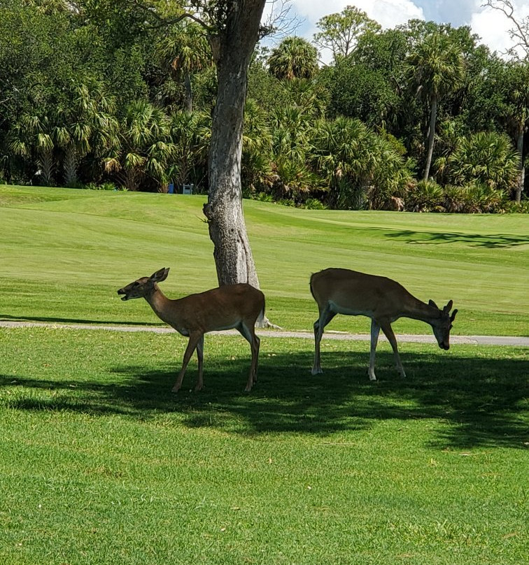 Ocean Point Golf Links-Fripp Island必去景点