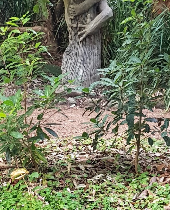 Shoalhaven Heads Native Botanic Garden景点图片