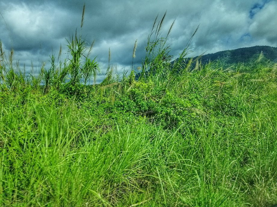 Phitsanulok-Lom Sak Route (Highway No. 12)景点图片
