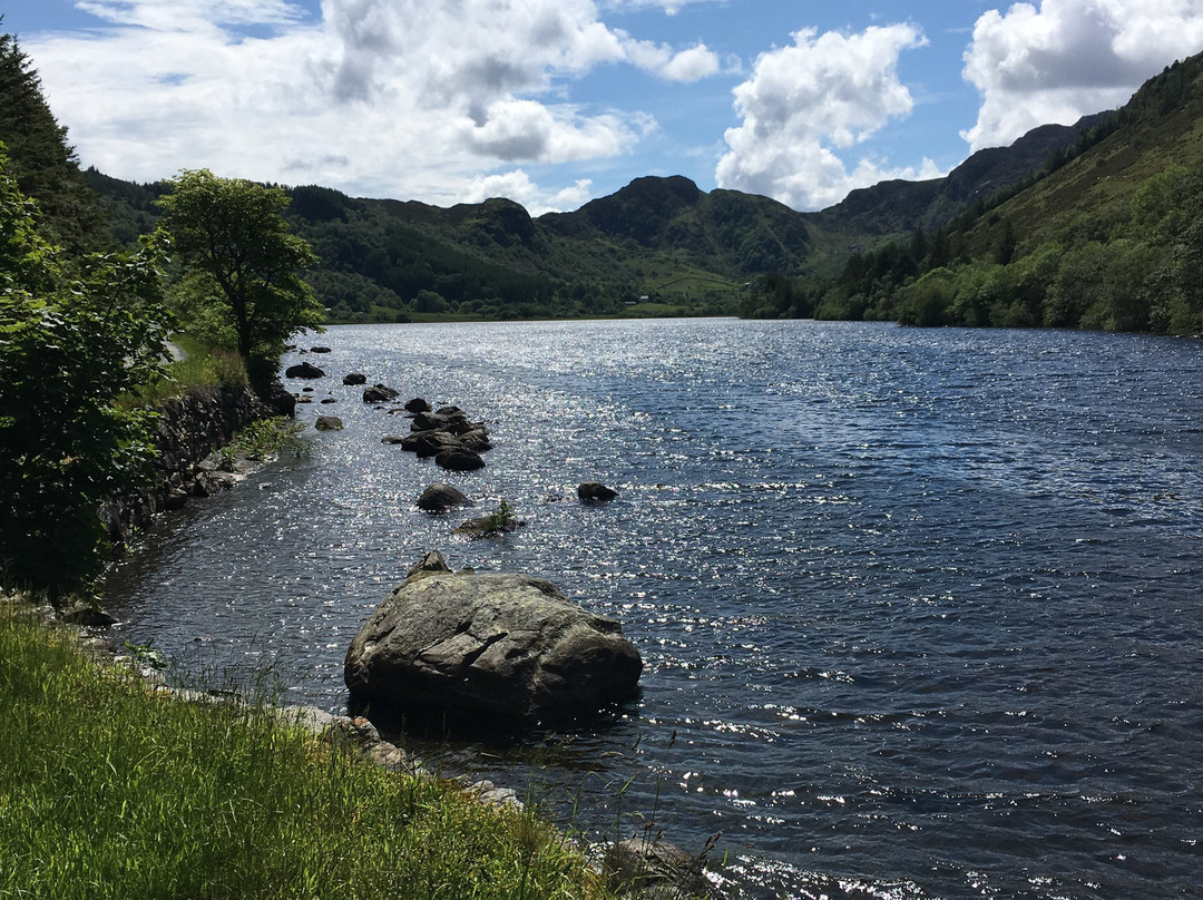 Llyn Geirionydd景点图片