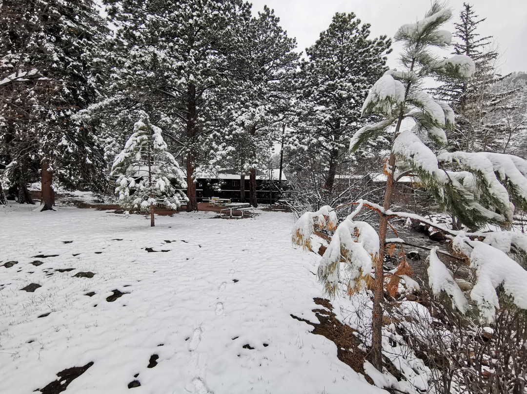 Nicky's Resort主图