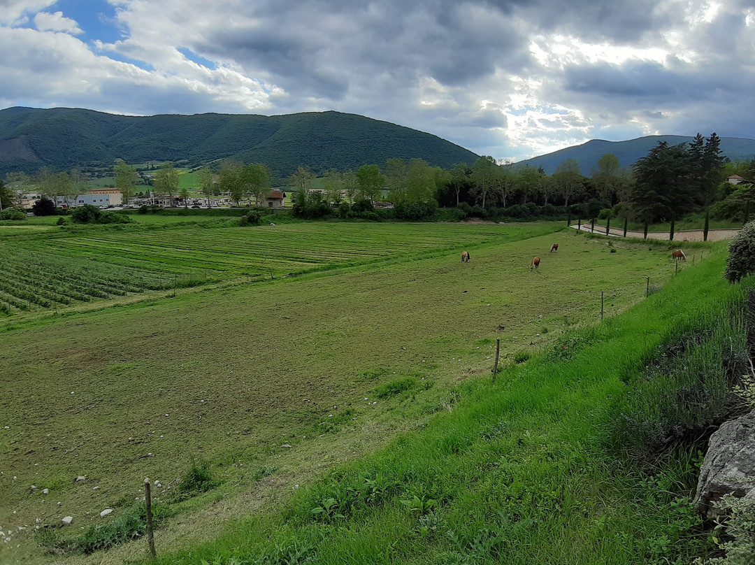 Il Casale San Martino主图