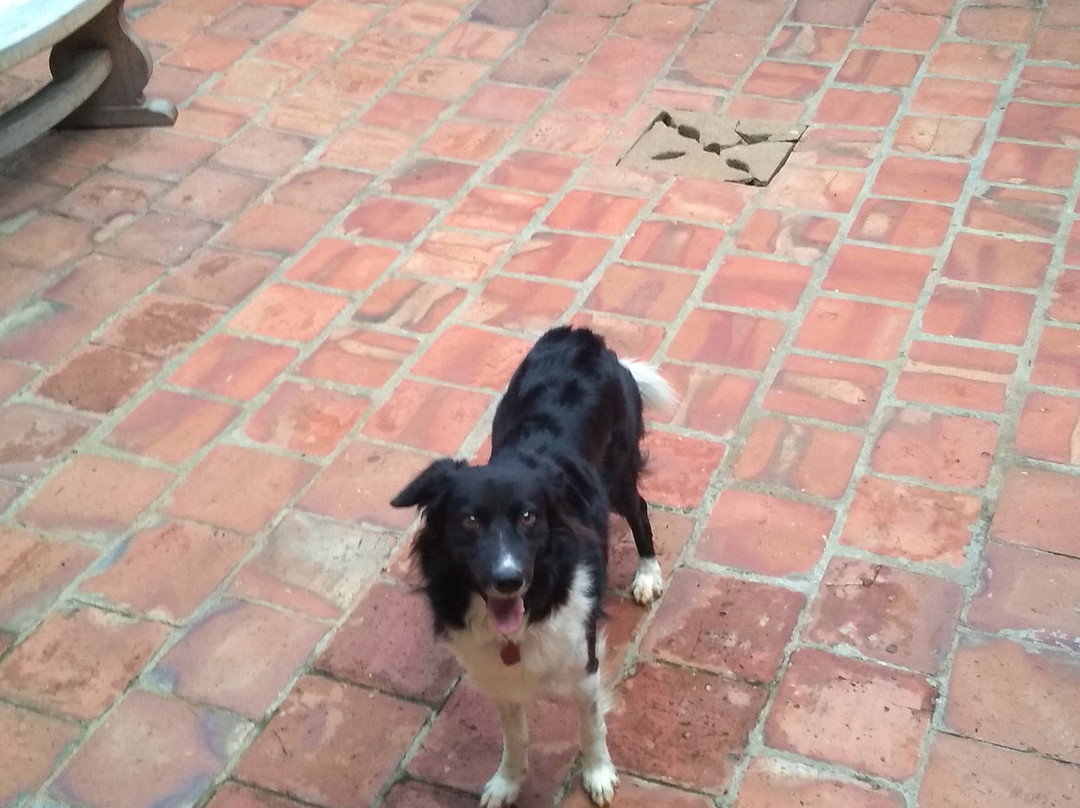 La Juanita Hostel Zapatoca主图