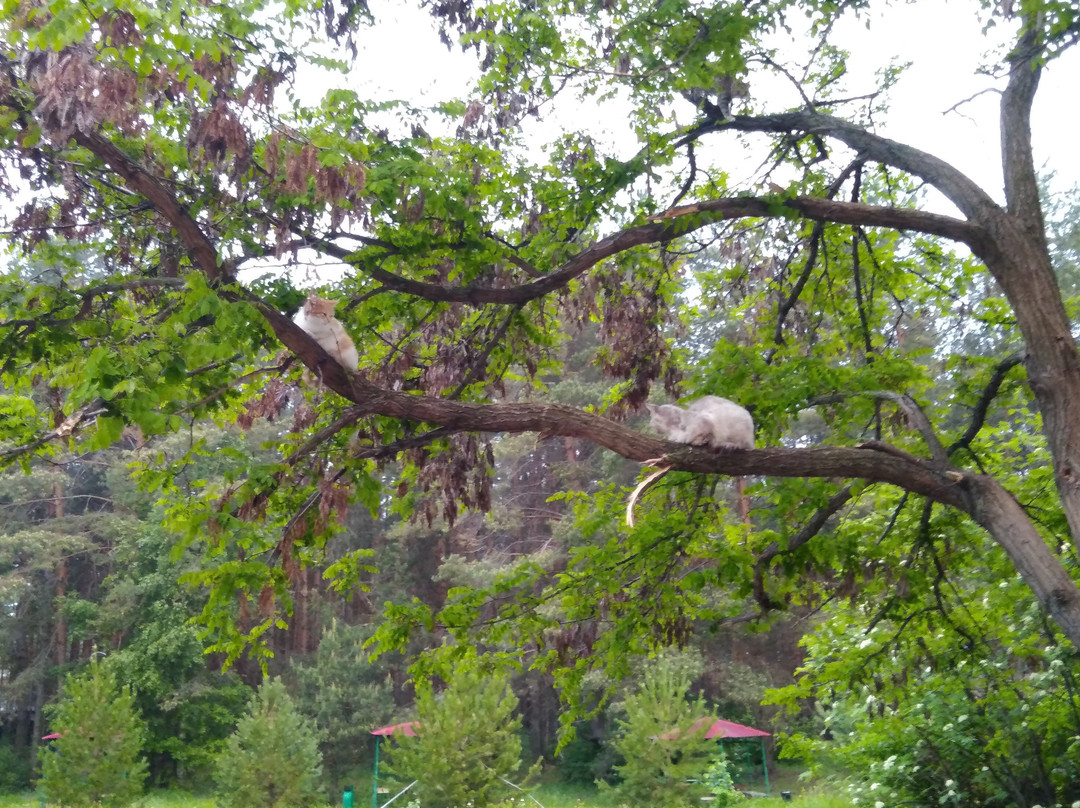 Staritsa Sanatorium主图