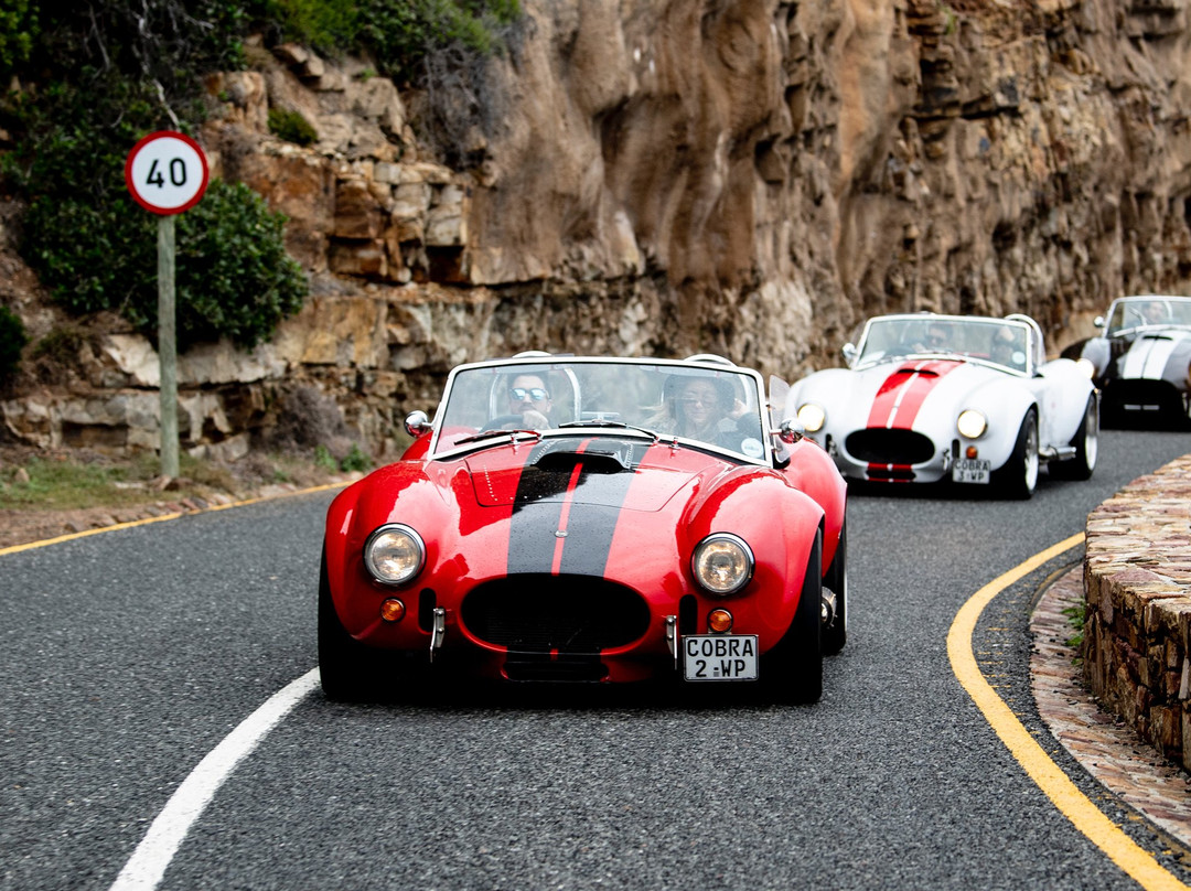 Cobra Experience-开普敦中心区必去景点