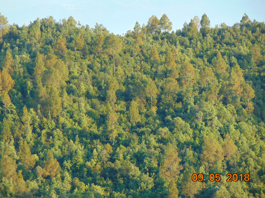 Advaita Ashrama,-Champawat必去景点