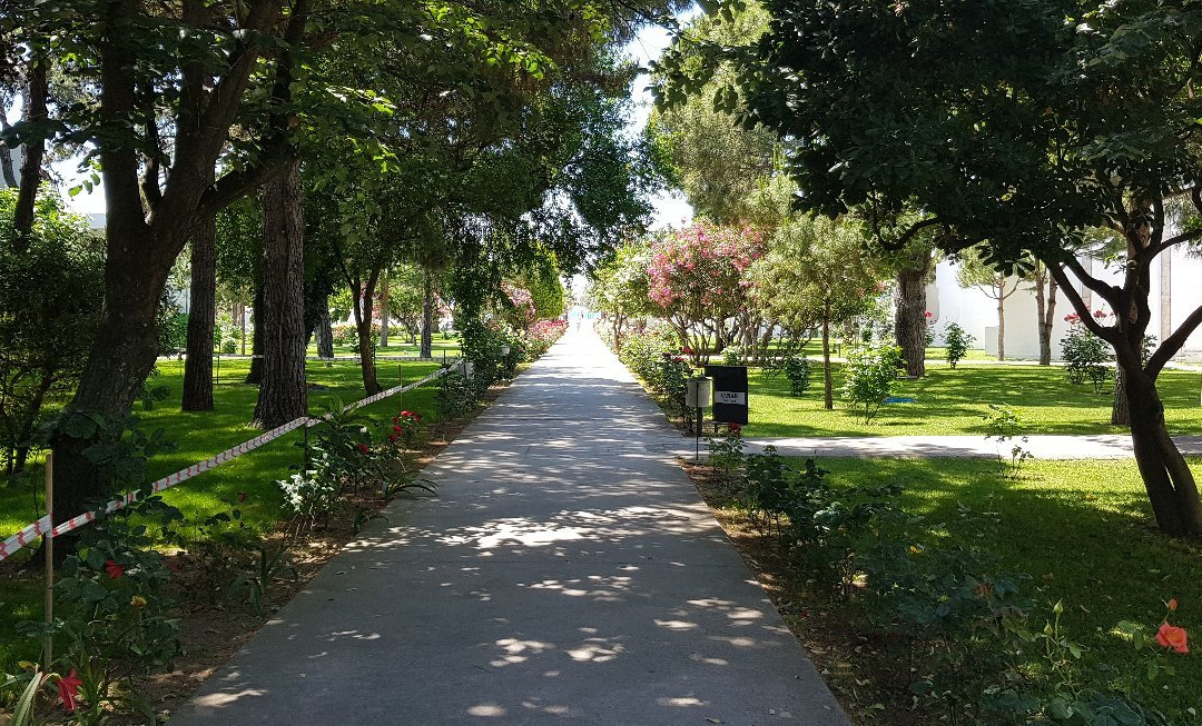 Artemis Oren Tatil Koyu主图