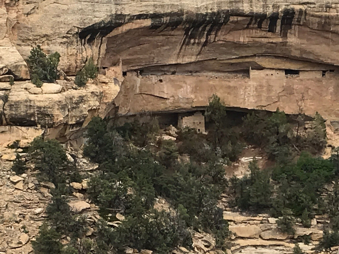 Mesa Verde Tour Experience景点图片