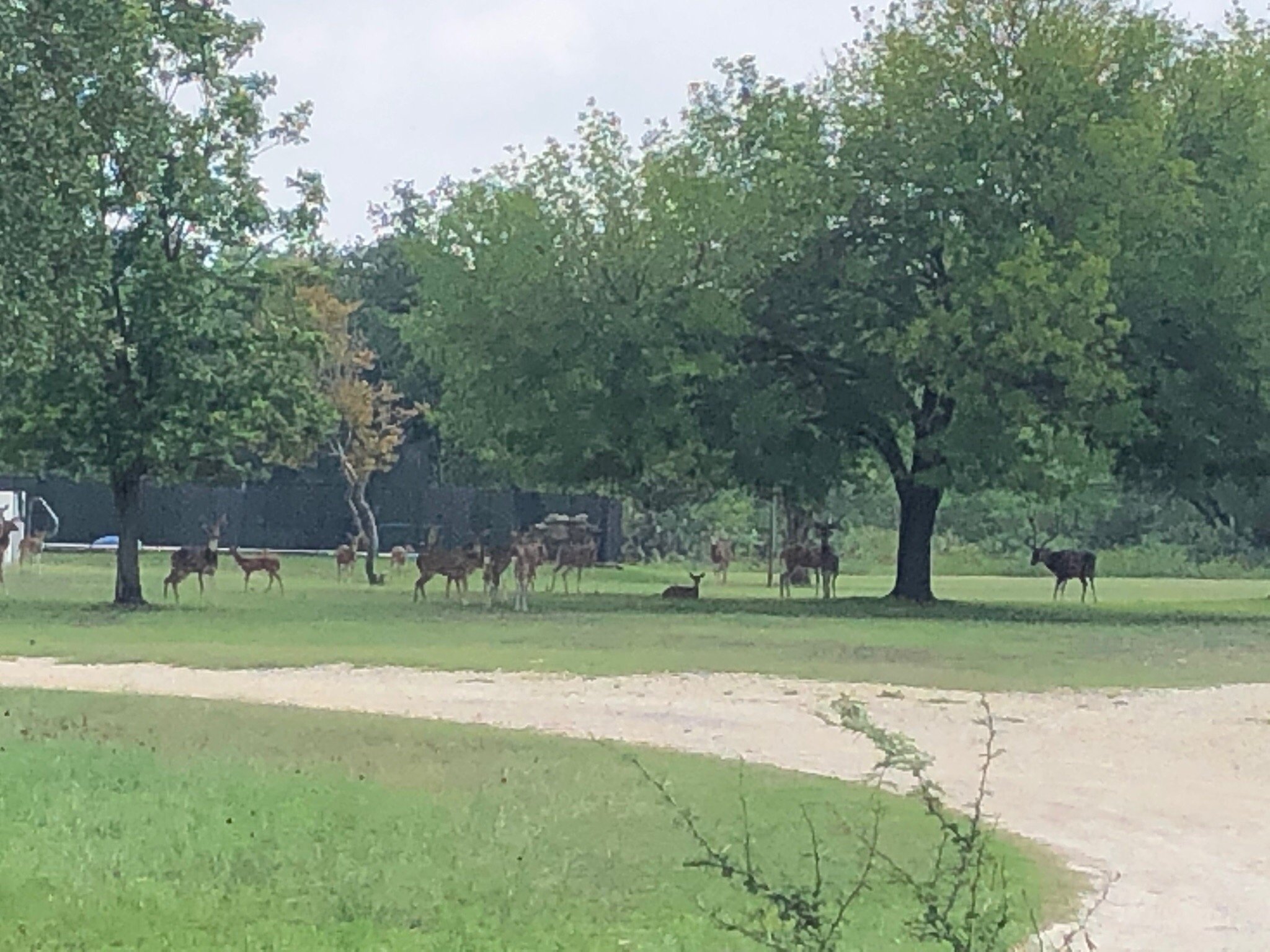 Lodging at Fort Clark Springs-官方
