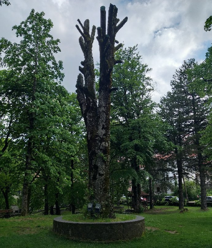 Averofeios Garden-迈措沃必去景点