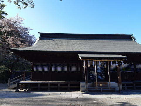 Washinomiya Shrine-久喜市必去景点