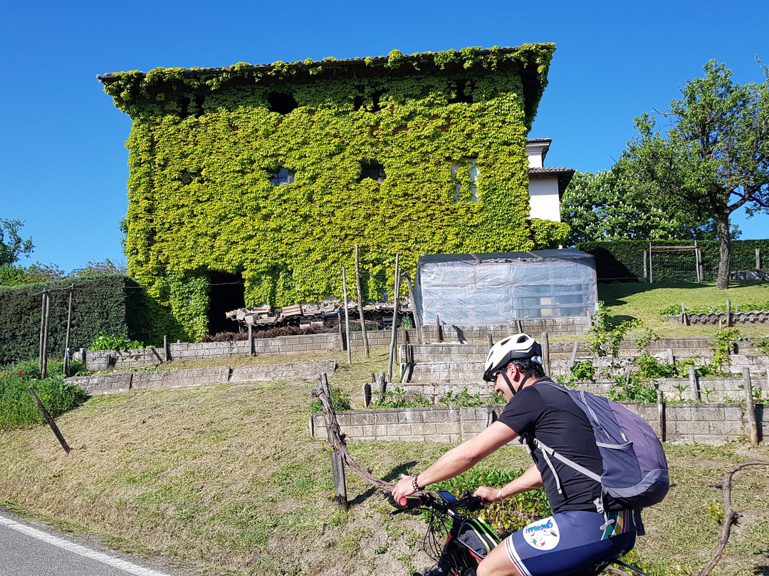 Avolasca旅游攻略图片