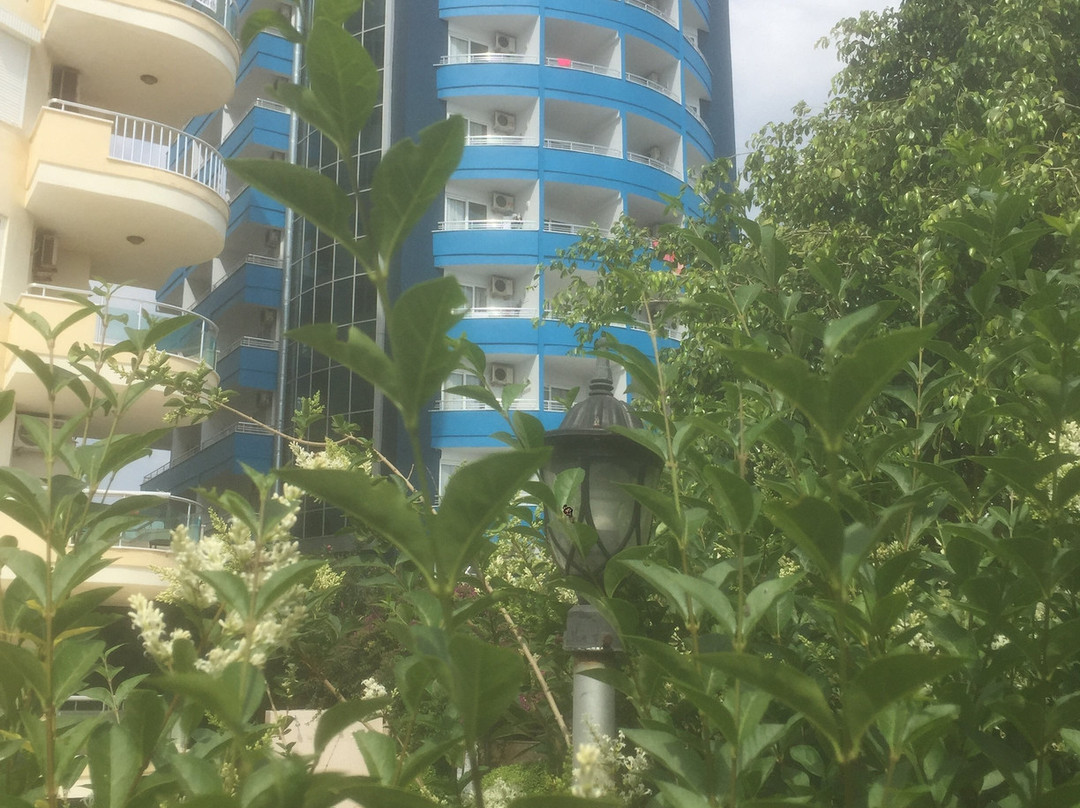 Kemalhan Beach Hotel主图