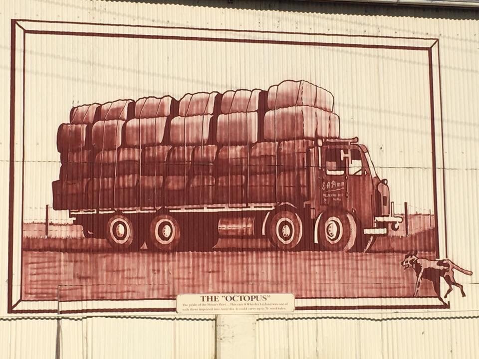 Millmerran Historical Murals景点图片
