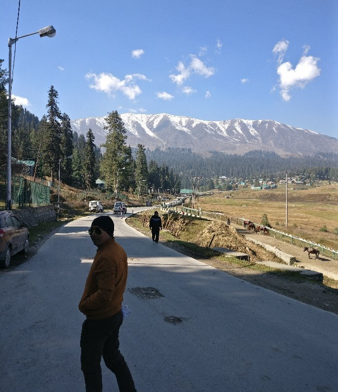 Gulmarg Meadows主图